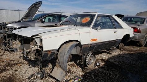 1979 Ford Mustang