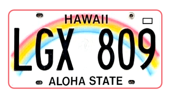 Hawaii state plate
